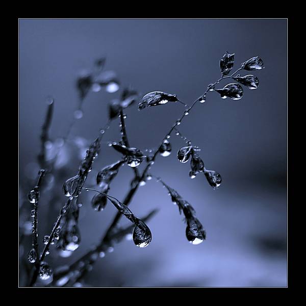 5456droplet2-med