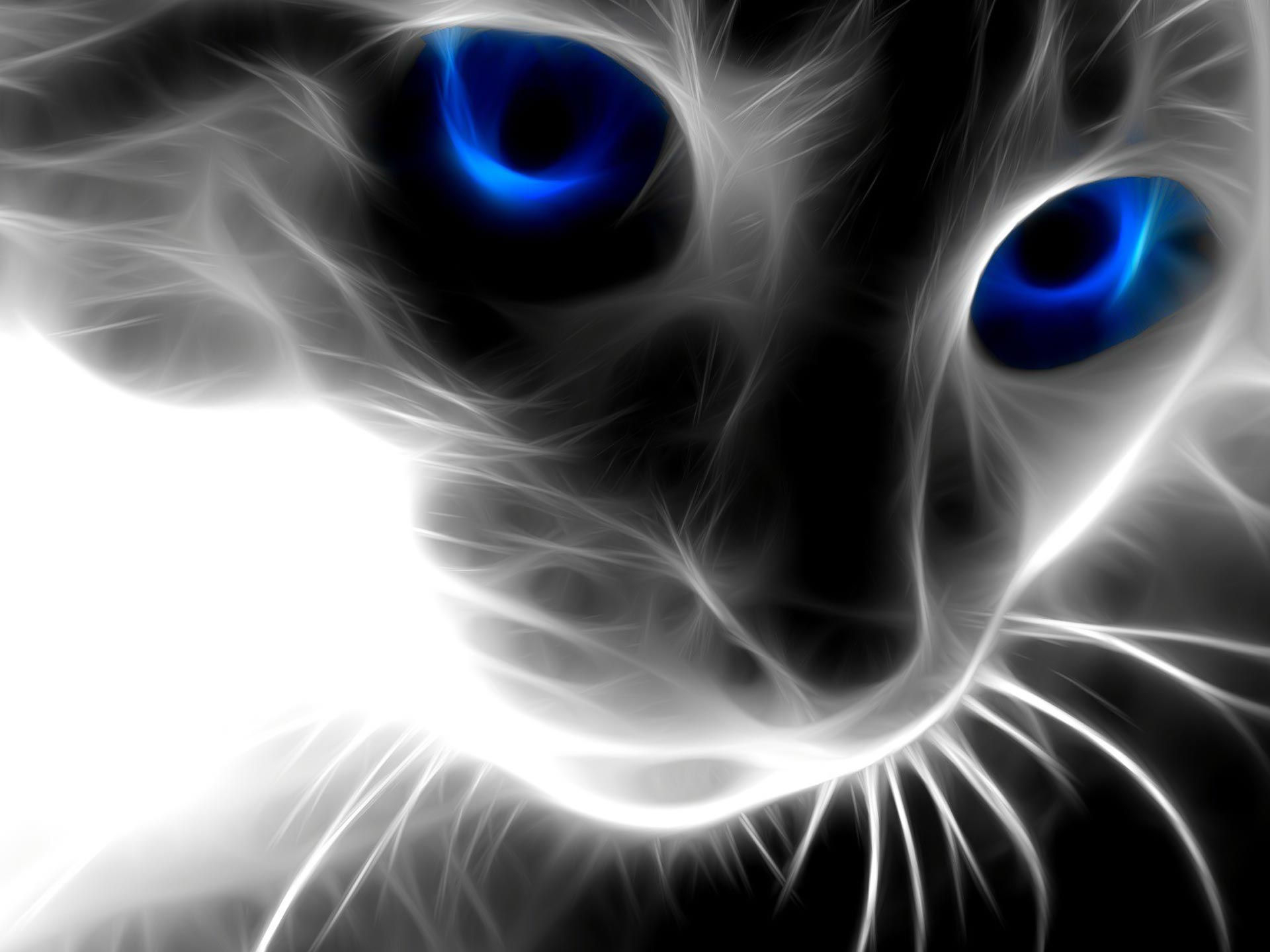 Magic_Cat_wallpaper_windows_7