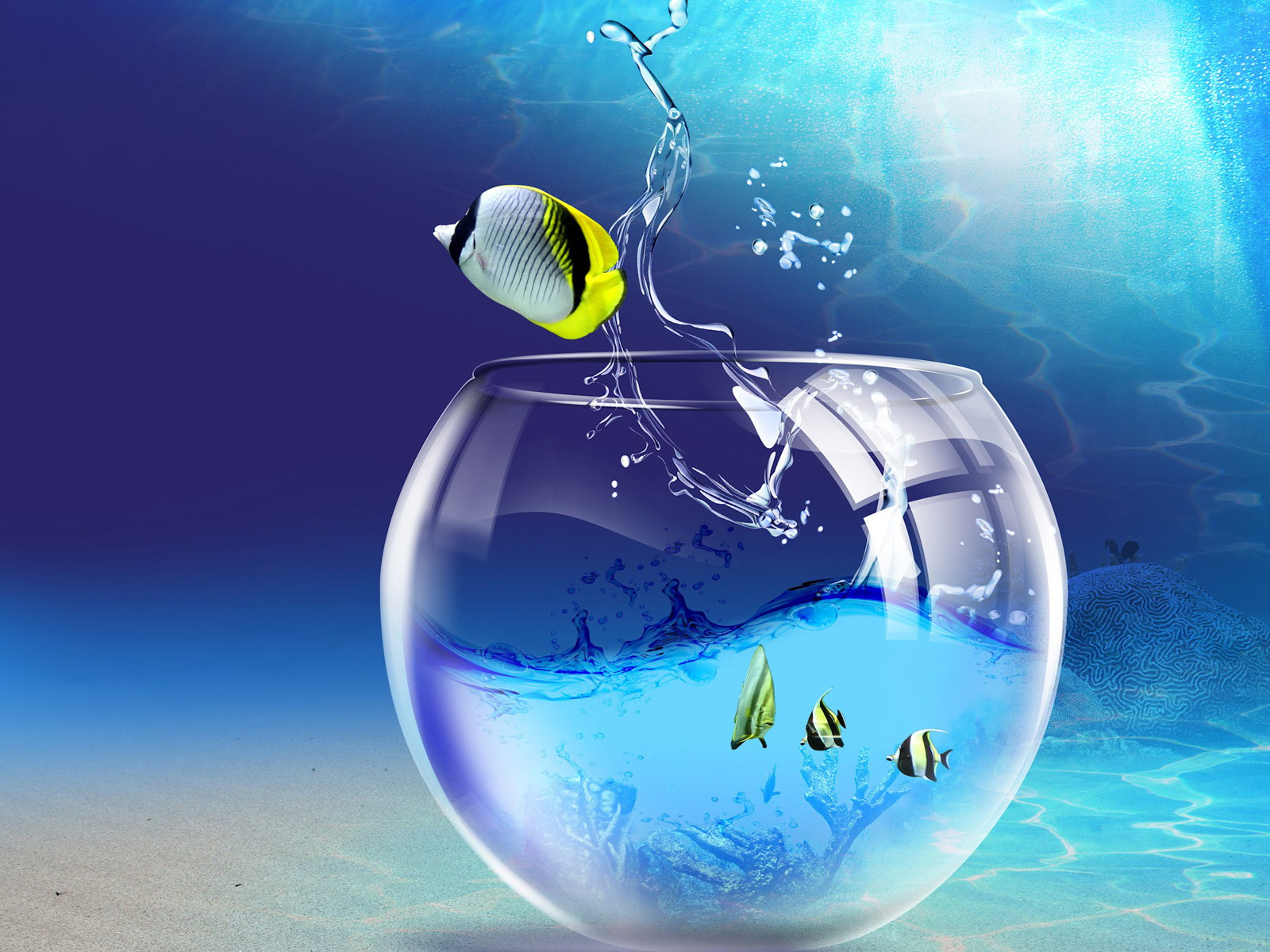 Windows_7_Wallpaper_-_Fish_Tank