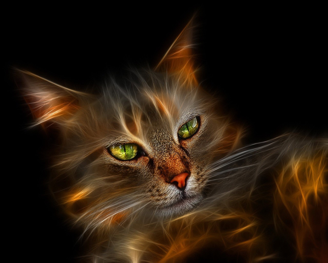 Windows_7_Wallpaper_Cat