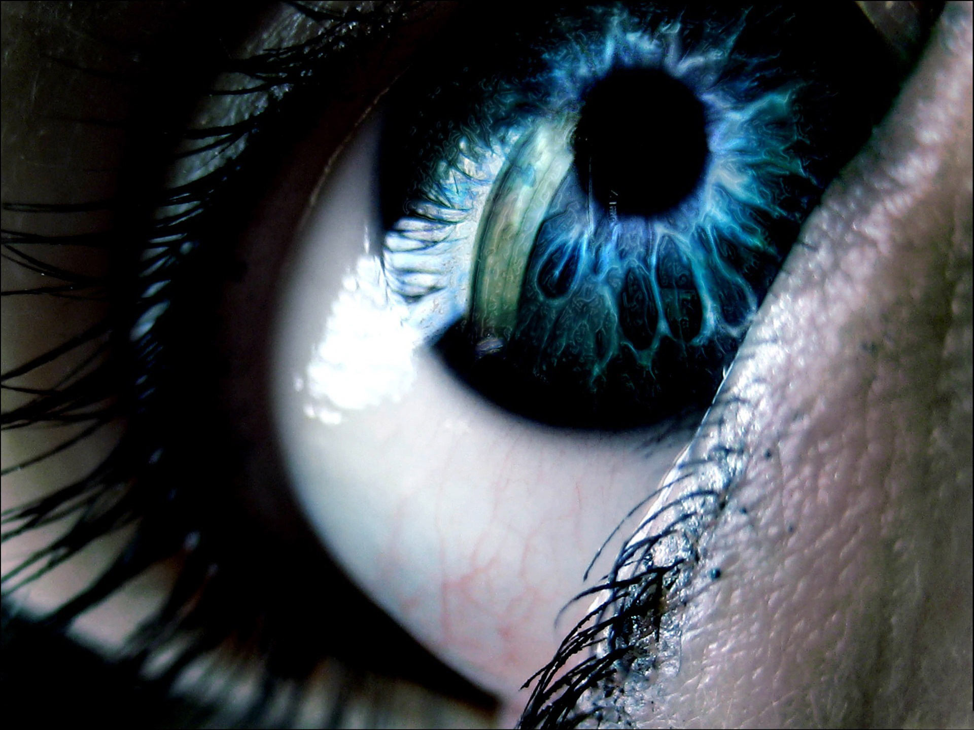 Eye_wallpapers