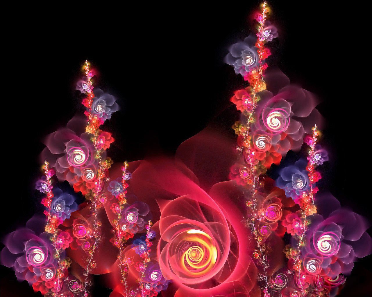 Curly_Rose